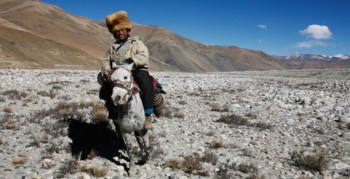 tibet-horseman.jpg