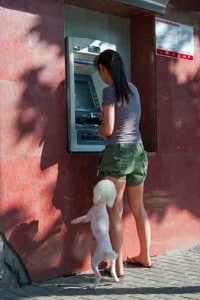 ATM with dog small 200x300 Money matters while traveling in China