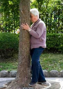 chinese tree hugger woman chinese tree hugger woman 213x300 Chinese etiquette tips for travelers