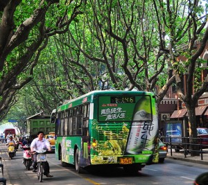 french concession, shanghai street scene shanghai china travel tourist attraction