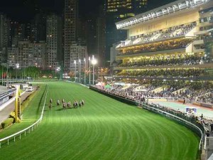 A horse race in the evening time