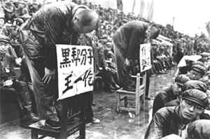 mao struggle session mao struggle session