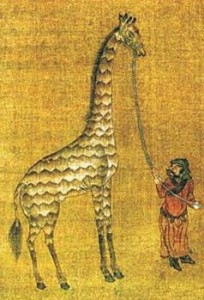 Chinese man wrangling a giraffe