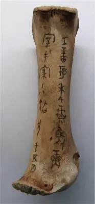 Example of China's oracle bones