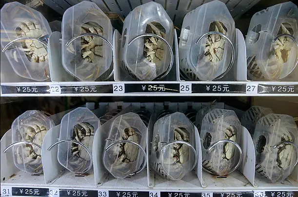 A crab vending machine in Nanjing, China