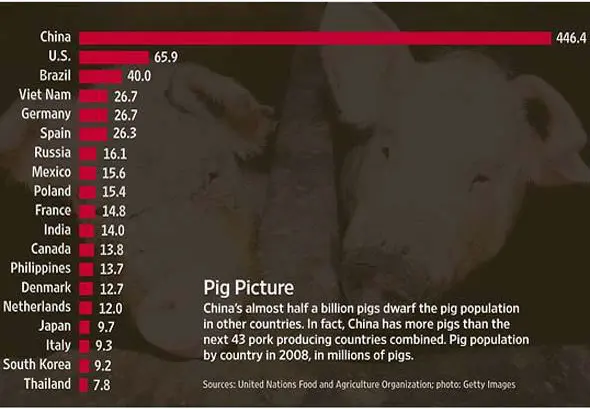 Graphic showing China is the largest pork consumer & producer. 