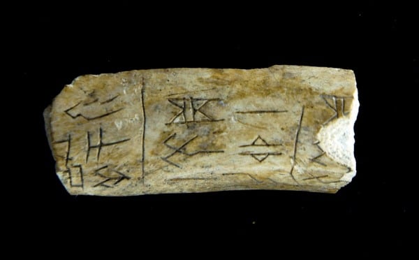 Chinese Oracle Bones